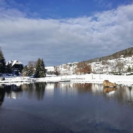 Im Salzgassle Διαμέρισμα Schonach im Schwarzwald Εξωτερικό φωτογραφία