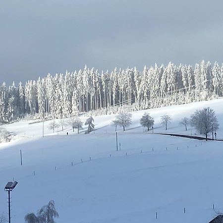 Im Salzgassle Διαμέρισμα Schonach im Schwarzwald Εξωτερικό φωτογραφία