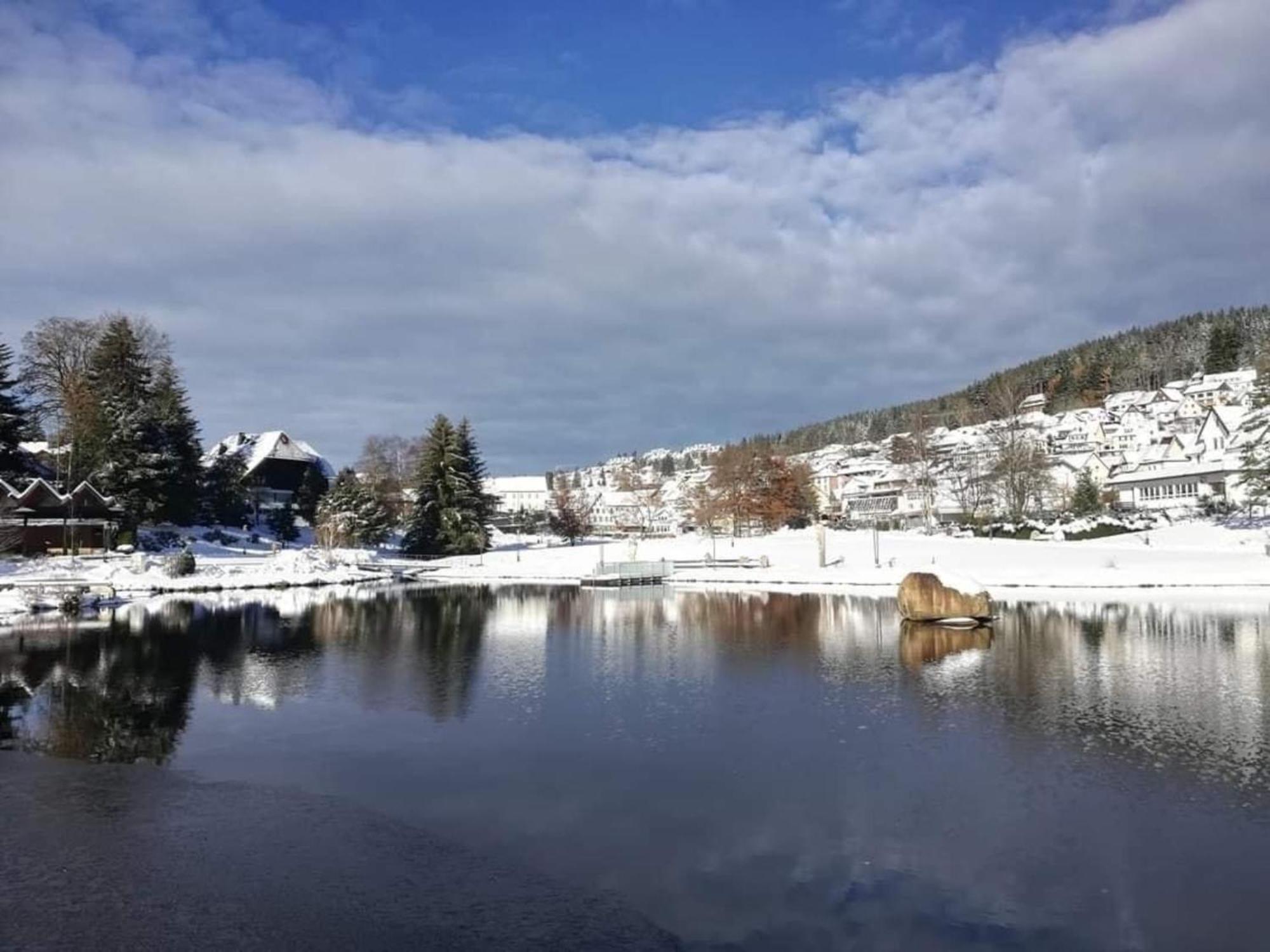 Im Salzgassle Διαμέρισμα Schonach im Schwarzwald Εξωτερικό φωτογραφία